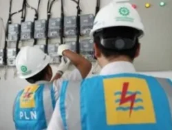 PLN Siap Jaringan Listrik 780 Ribu Rumah Lewat Program Lisdes 2025–2029
