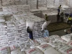 Stok Pupuk Kunci Keberhasilan Swasembada Pangan Nasional