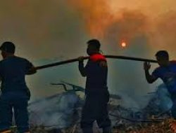 Kesiapan Total Pemerintah Tekan Ancaman Karhutla