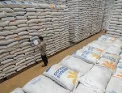 Cadangan Beras Capai 4 Juta Ton, Indonesia Raih status Swasembada Pangan