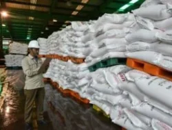 Ketersediaan Pupuk Elemen Penting Keberhasilan Swasembada Pangan Nasional